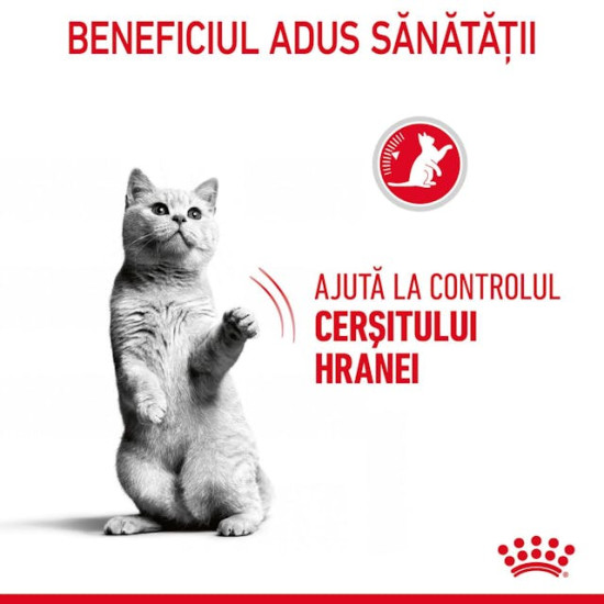 Royal Canin Appetite Control Care – Hrană Umedă pentru Pisici în Sos, 85 g